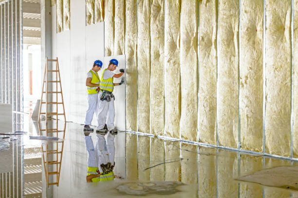 Best Eco-Friendly Insulation in Colonial Pine Hills, SD
